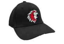 Casquettes
